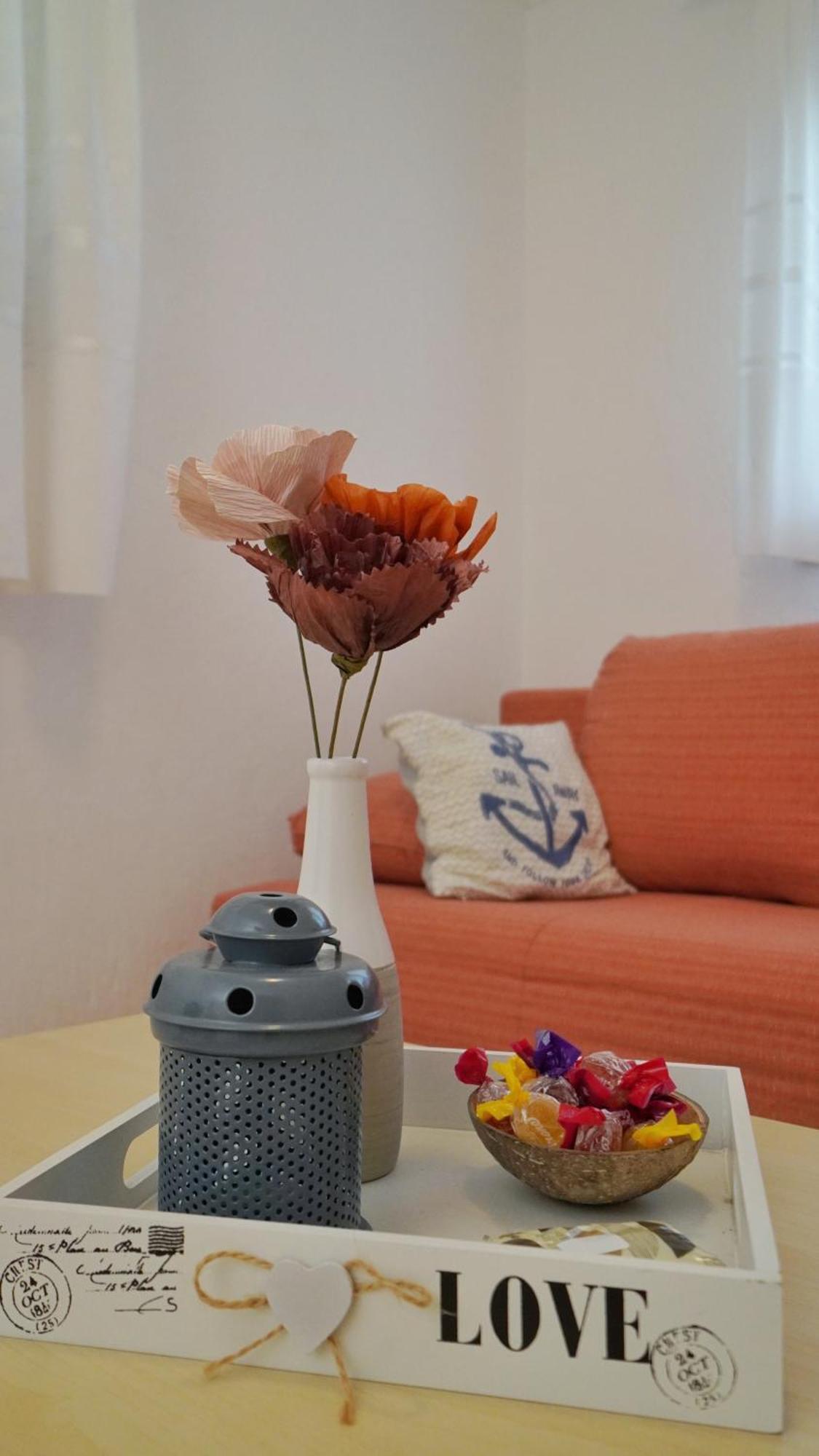 Apartment Samanta Novigrad  ภายนอก รูปภาพ
