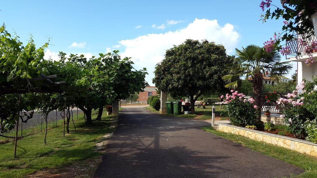 Apartment Samanta Novigrad  ภายนอก รูปภาพ